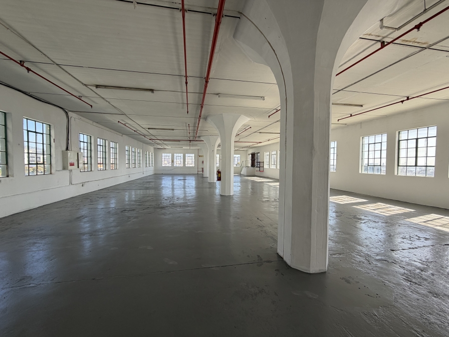 To Let Commercial Property for Rent in Woodstock Western Cape